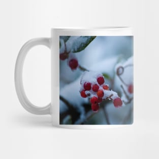 Midwinter Mug